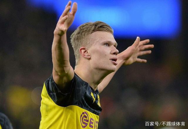 动物朋克 动物朋克